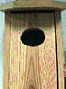 Cypress Wood Duck box