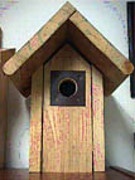 A-Frames Cypress Bluebird box